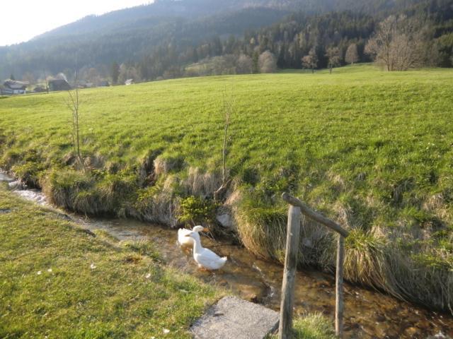 Bunzbauernhof Villa Bad Mitterndorf Eksteriør billede